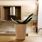 Etessiano Appartement *